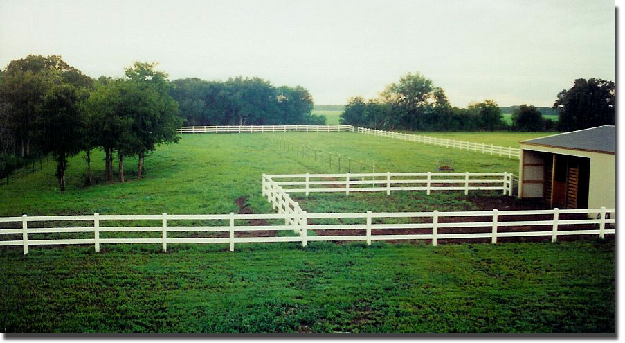 picture of Dancers stable